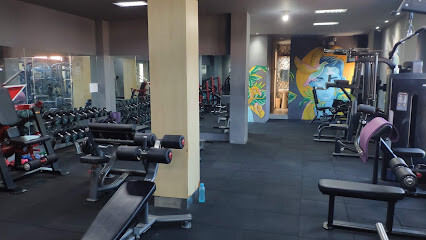 OK GYM