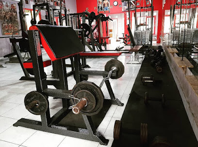 Gaga Gym