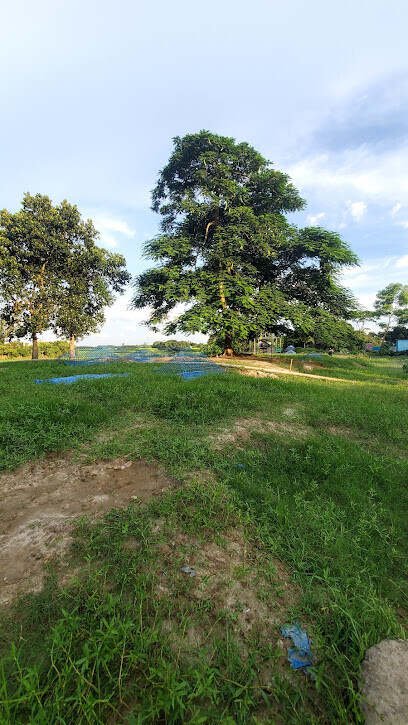 বাড্ডা কাজিরগাঁ কবরস্থান