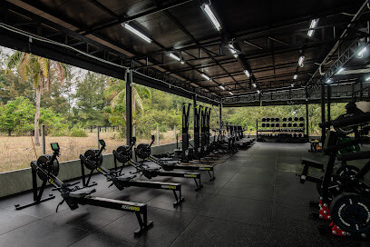 Thybrid Training Centre