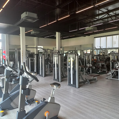 NW Fitness SRY