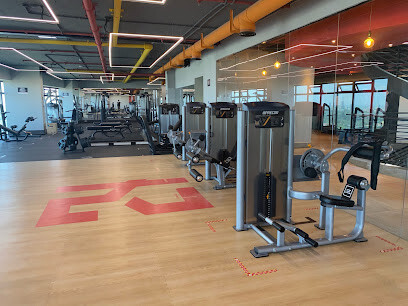 Level 24 Gym and Fitness
