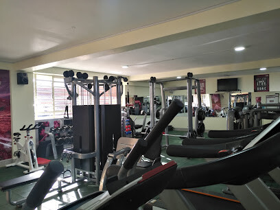 Salute Gym