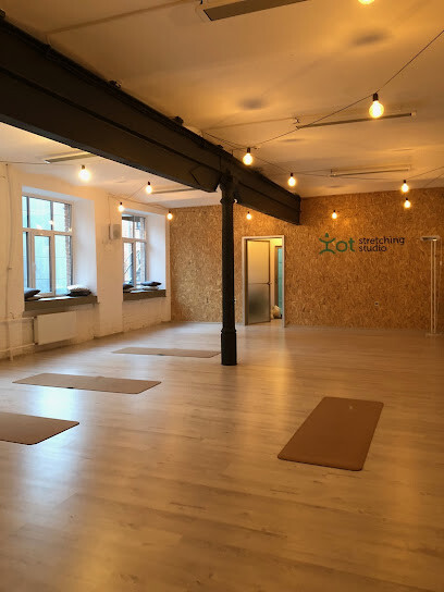 Hot Stretching Studio