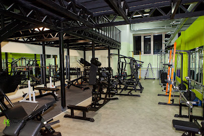 Vine Studio