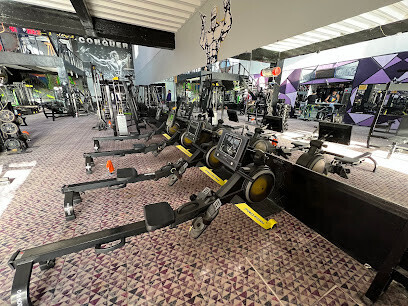 Gym Splash