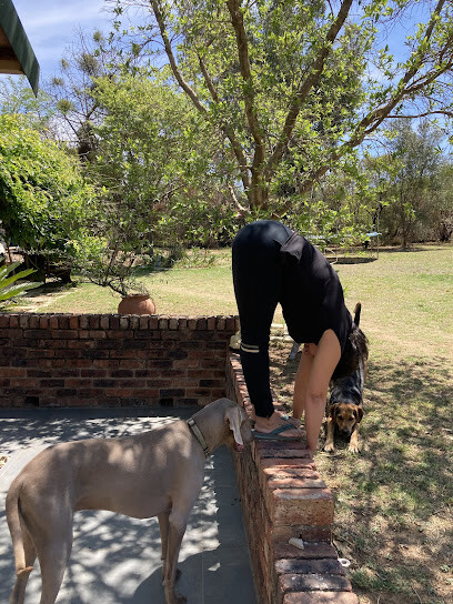 Jivana Yoga Studio