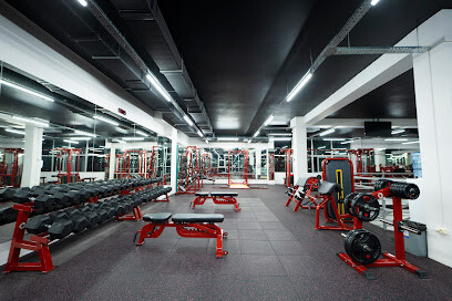 Troy Fitness ტროა ფიტნესი