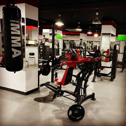 Fantastic Gym