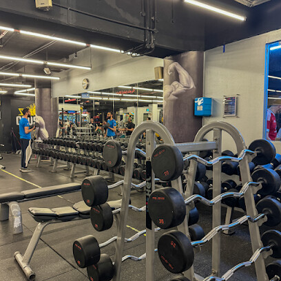Fe Gym