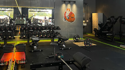 N.H.P GYM
