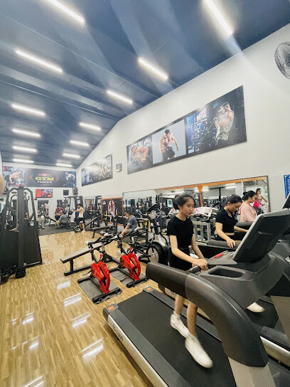 Gym Hachi