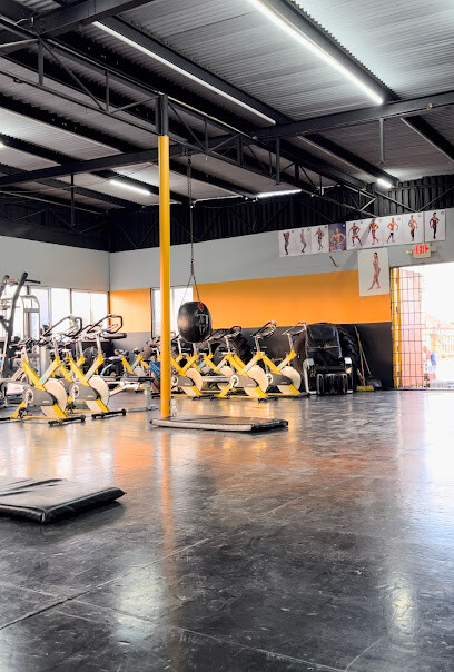 Classic Body Fitness