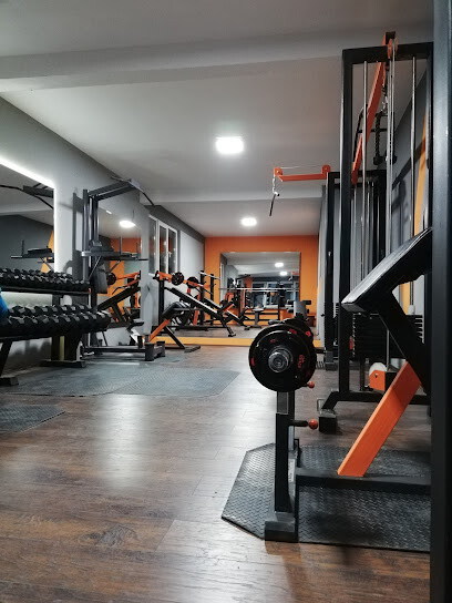 X GYM PRO