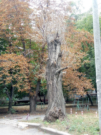 СТАРТ Life, ФИТНЕС КЛУБ