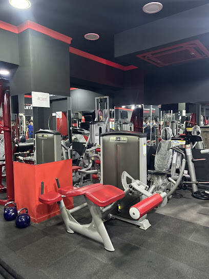 Dream world GYM
