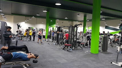 Ultimate.p.gym