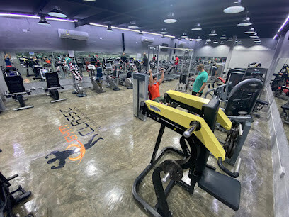 Classic Gym Premium