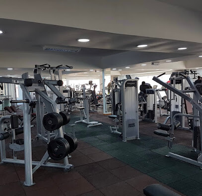 Ultimate Gym 2