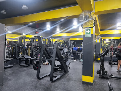 Portales Gym