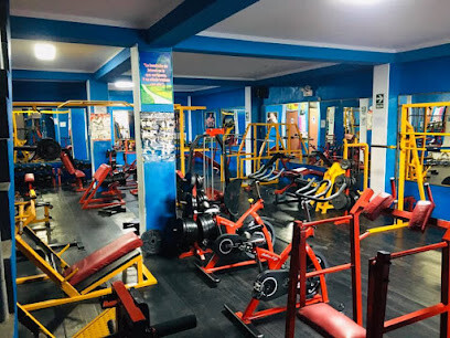 Gimnasio Animal Gym