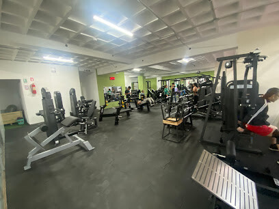 Gym Fitness Hulk