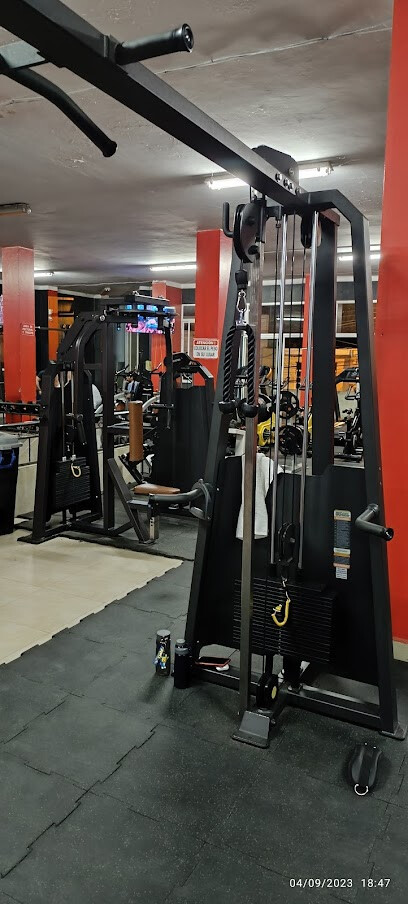 Evolution Gym
