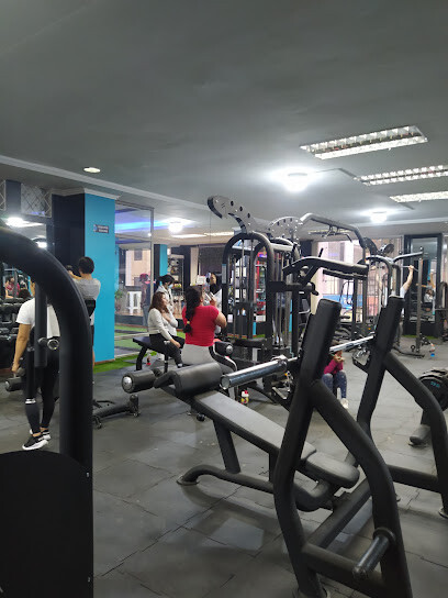 Alpha Gym