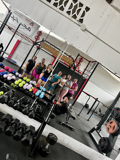 Gym Wonder Fitness