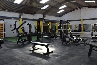 Army Fitness
