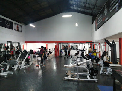 Wil'f Gym Fitness