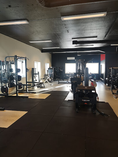 Mudo Gym Tynset