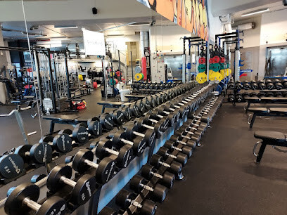 Flex Gym