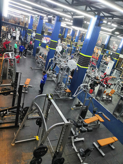 Big Ramy Gym