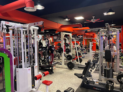 MR. Olympia GYM