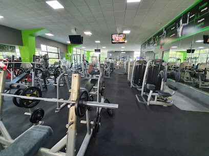 World gym academy
