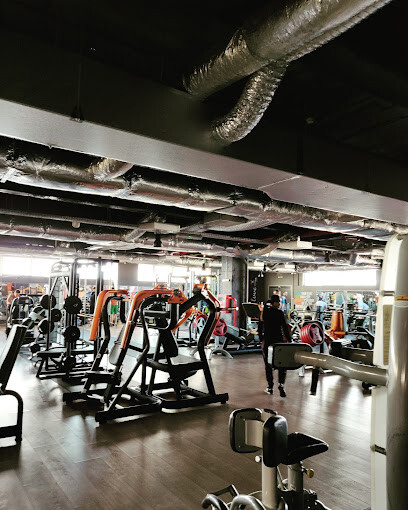 Club Fitness Decebal