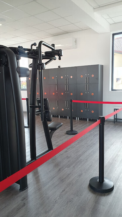 Teseo Gym