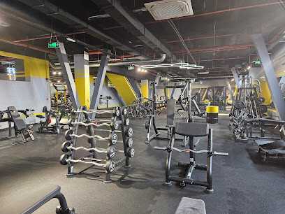 Stay Fit Gym