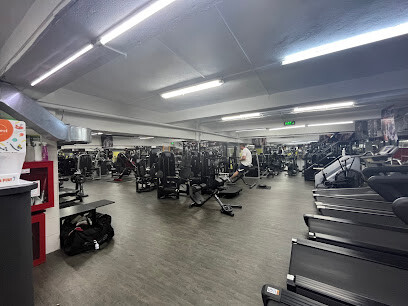 Bro Gym