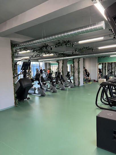 GORILLA GYM CV9