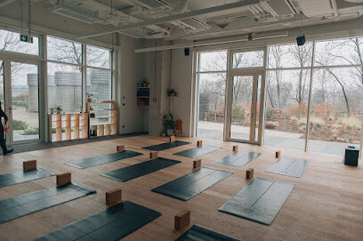 Prague Yoga Collective