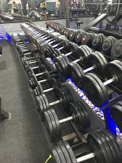 American GYM