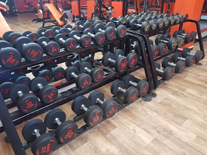 Champions Factory