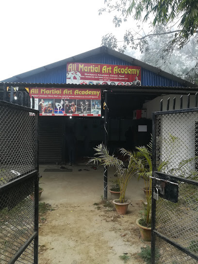 All Martial Art Academy