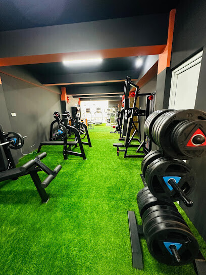 Alpha Gym and Fitness