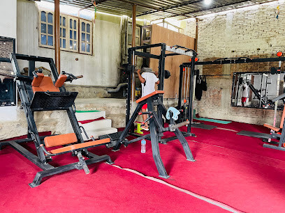 Lion Gym and Fitness