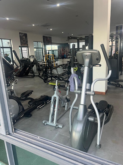 Gold Fitness Gym