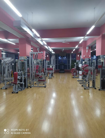 Fredi Fitness