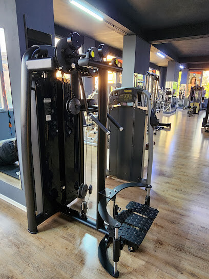 Palestra New Body